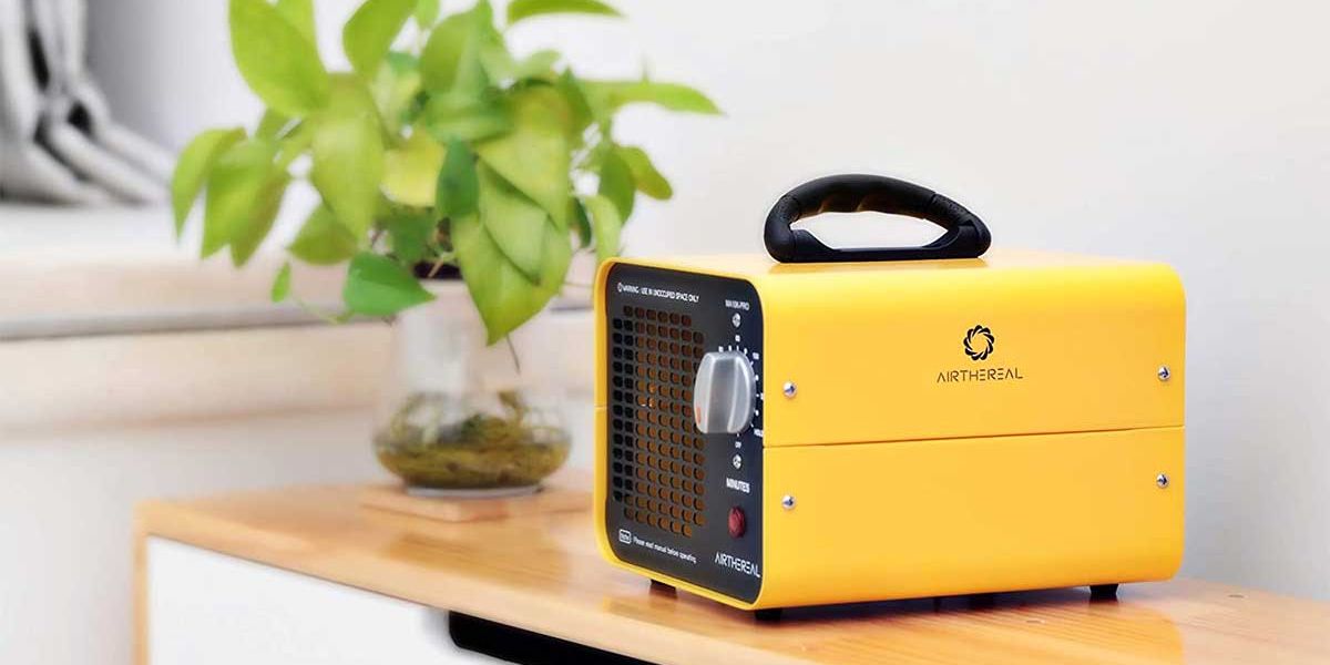 Generatore di ozono portatile da 600 mg / h, generatore di ozono versatile  e purificatore d'acqua dell'olio e dell'aria dell'ozonizzatore, macchina  per l'ozono